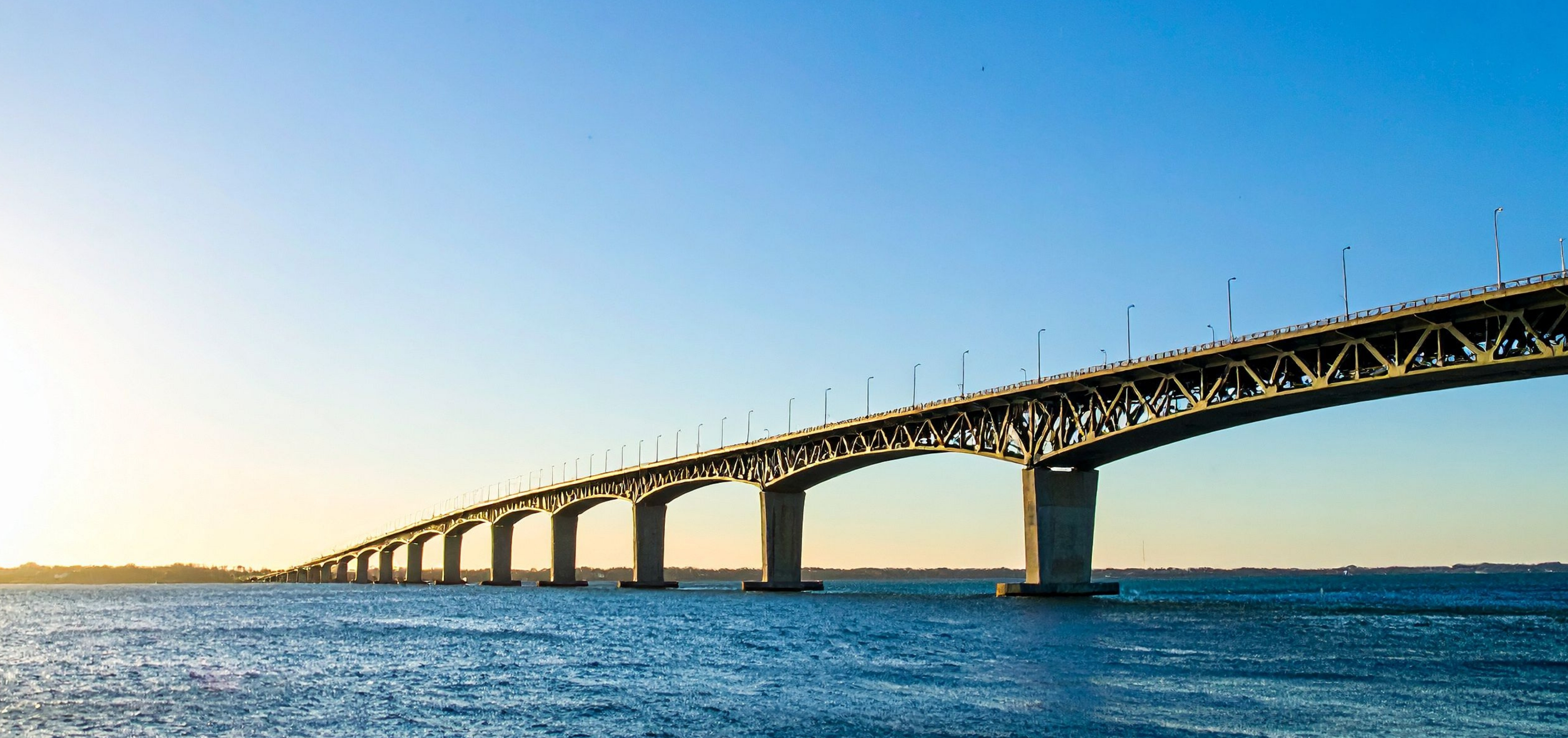 Shannon Paschall Real Estate in Virginia Beach, VA (2)