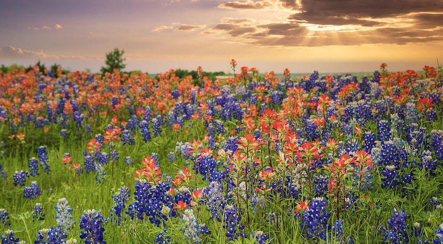 Y’all’s Beauty Spot in Natalia, TX