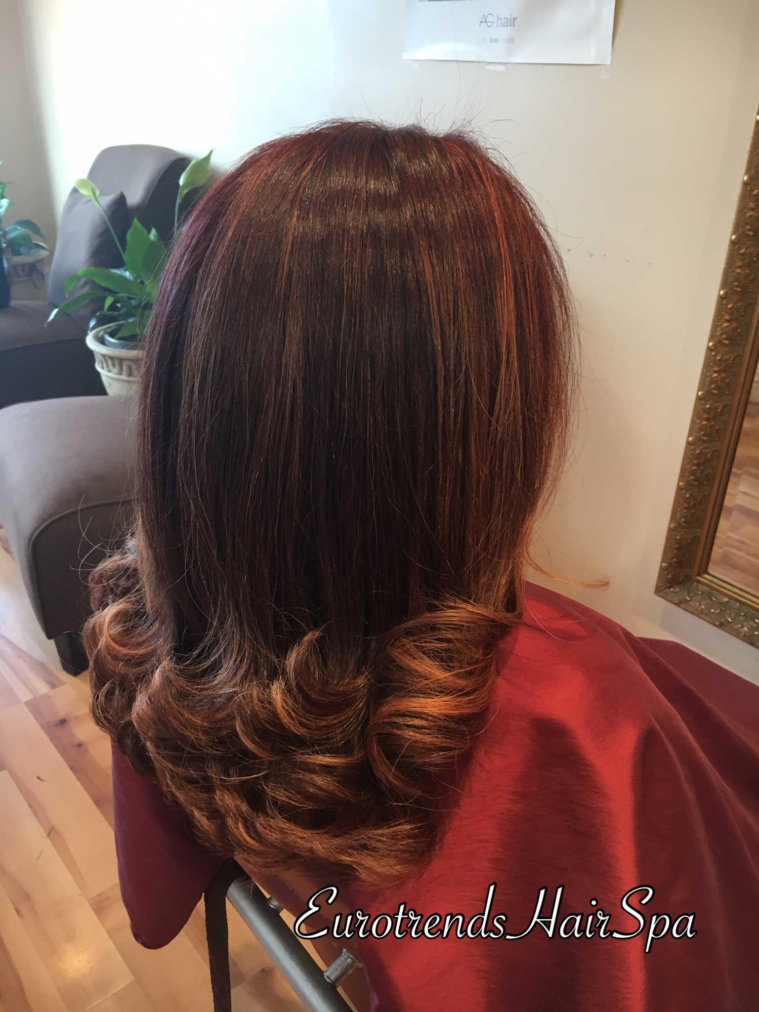 Eurotrends Hair Spa in Kenilworth, NJ (4)