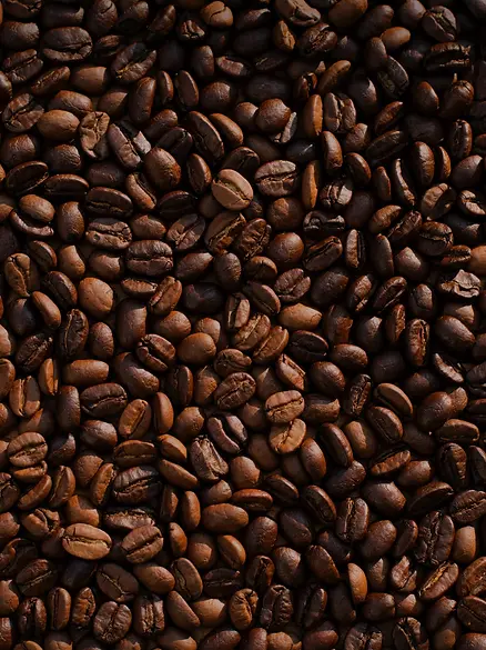 Attic Coffee Mill Cafe in Madison, IN (6)
