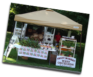 West Orchards Farm Market in Perry, OH (2)