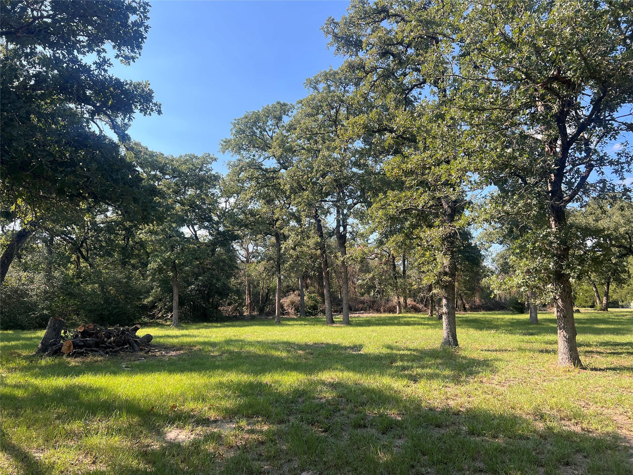 Ranch House Real Estate in Rockdale, TX
