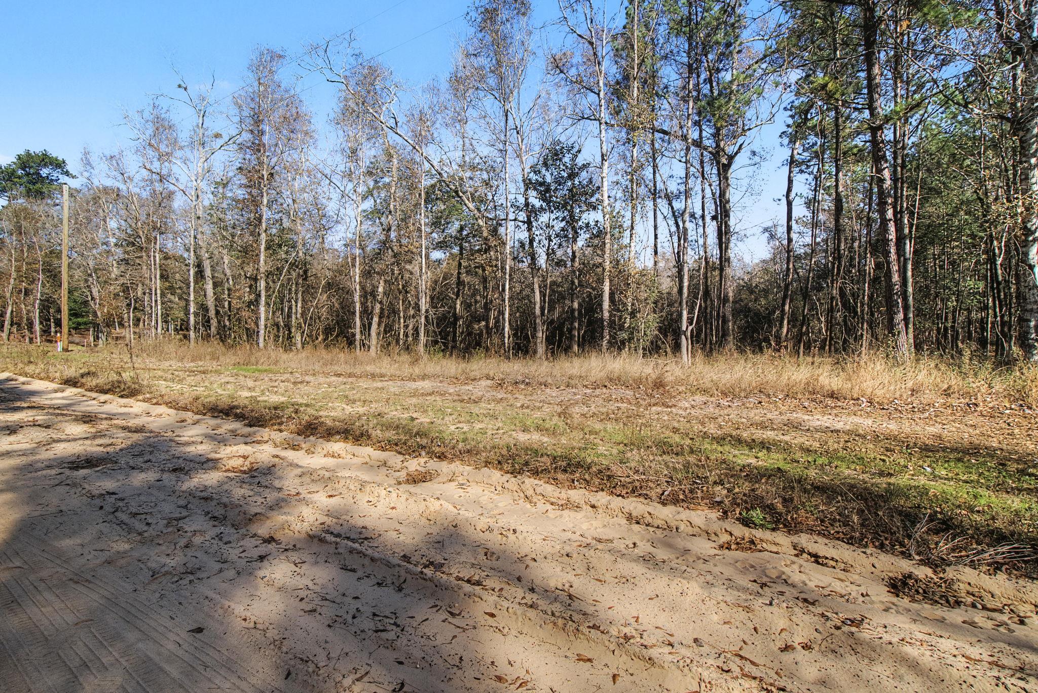 Ranch House Real Estate in Rockdale, TX (2)