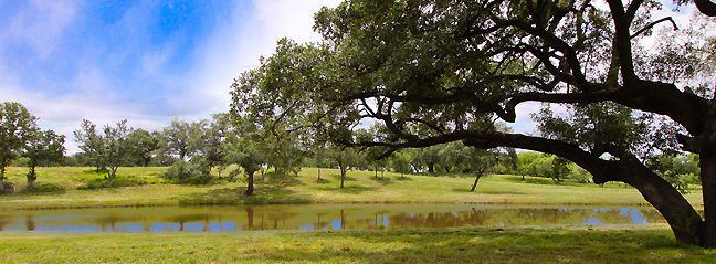 Brohill Realty Ltd in Pleasanton, TX