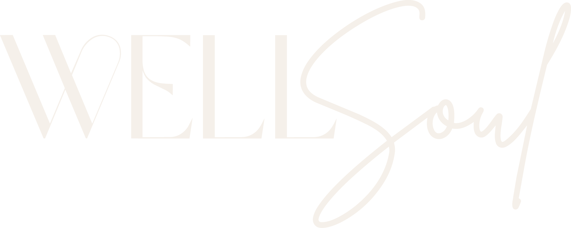 WellSoul Spa + Salon in Columbia, SC (2)