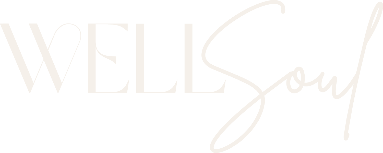 WellSoul Spa + Salon in Columbia, SC (4)
