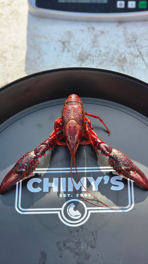 Lazy J Cajun in New Braunfels, TX (4)
