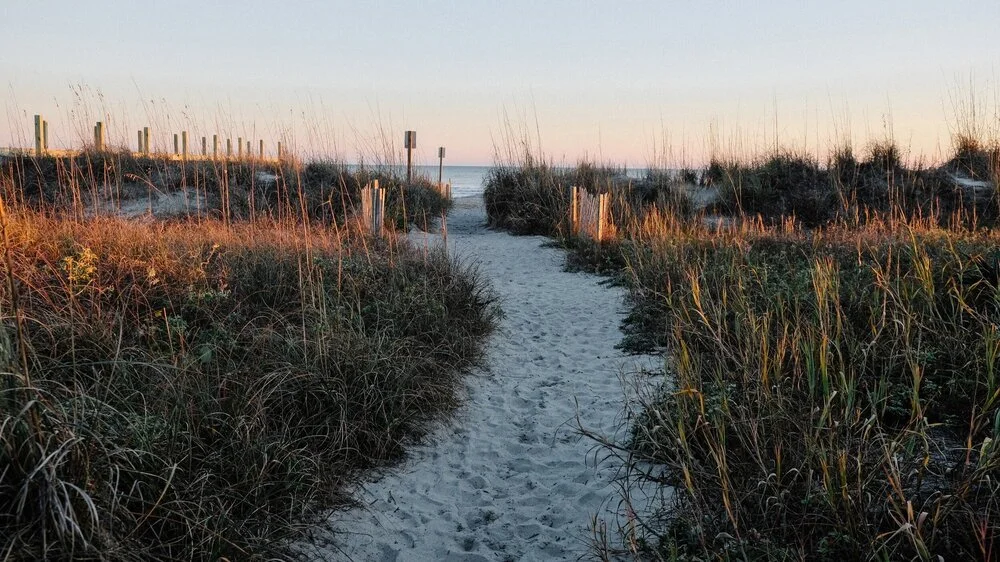 Troy Gandee in Sullivan's Island, SC (2)