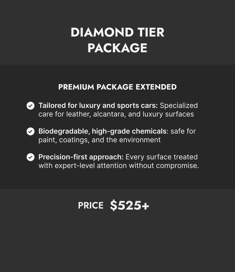 Dirty Diamond Detailing in Cheverly, MD (4)