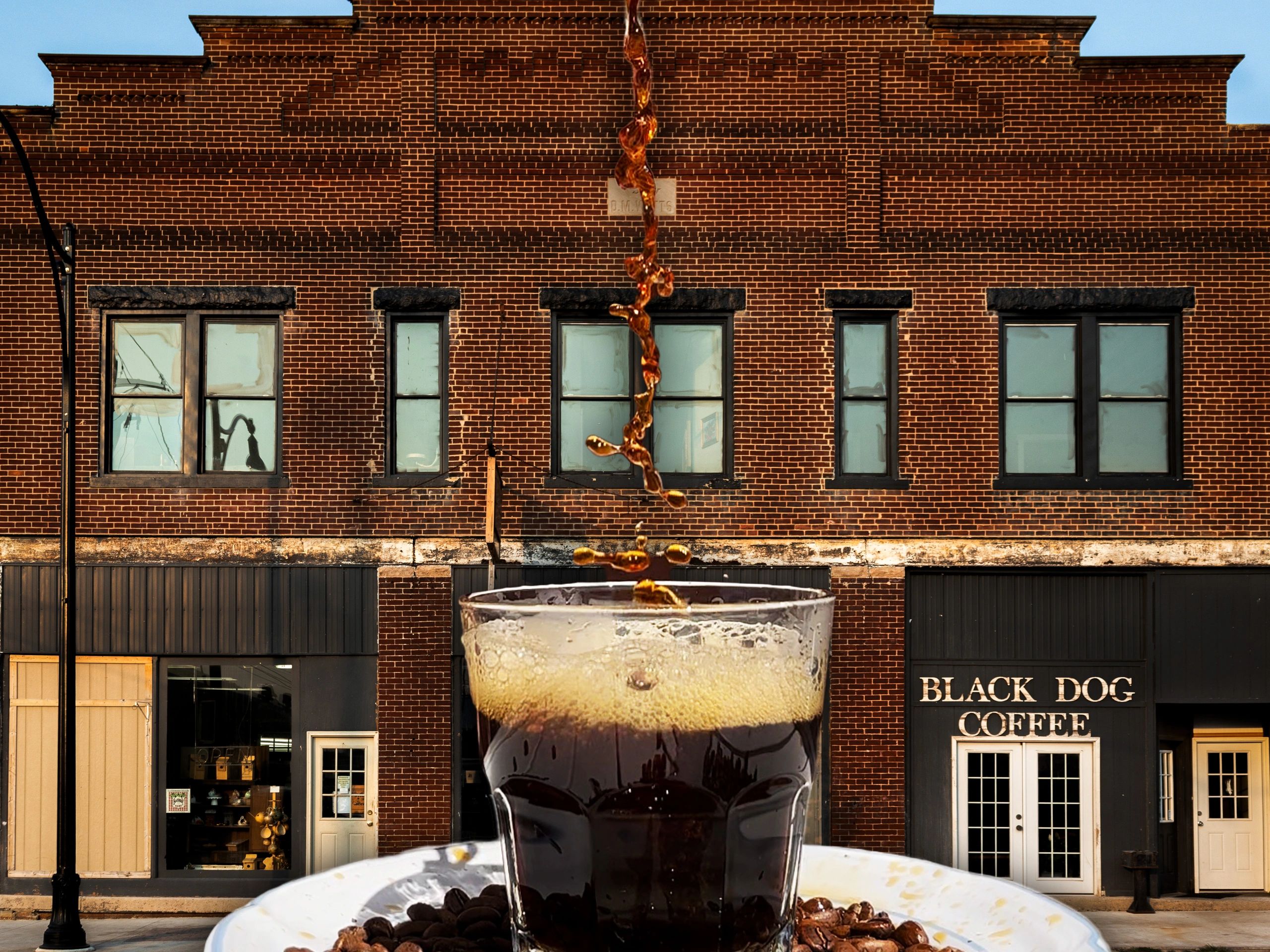 Black Dog Tavern in Logansport, IN