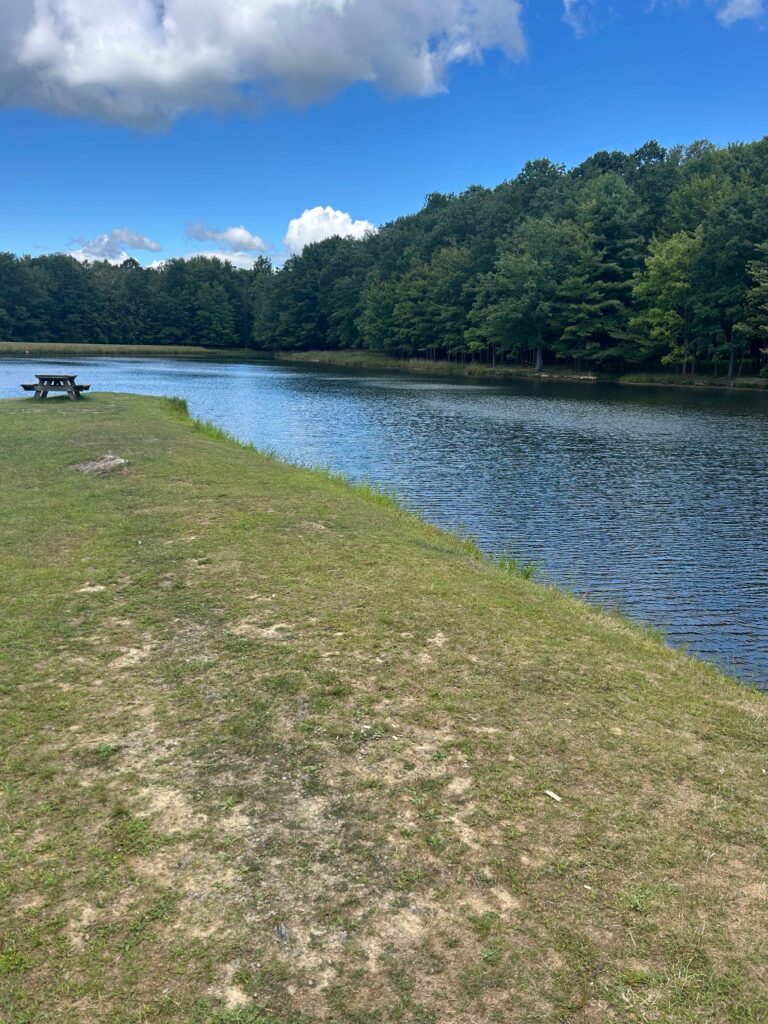 Bonner Realty LLC in Grove City, PA (3)