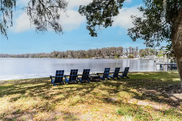 Ark Realty in Lutz, FL
