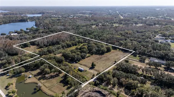 Ark Realty in Lutz, FL (2)