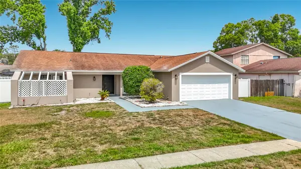 Ark Realty in Lutz, FL (4)