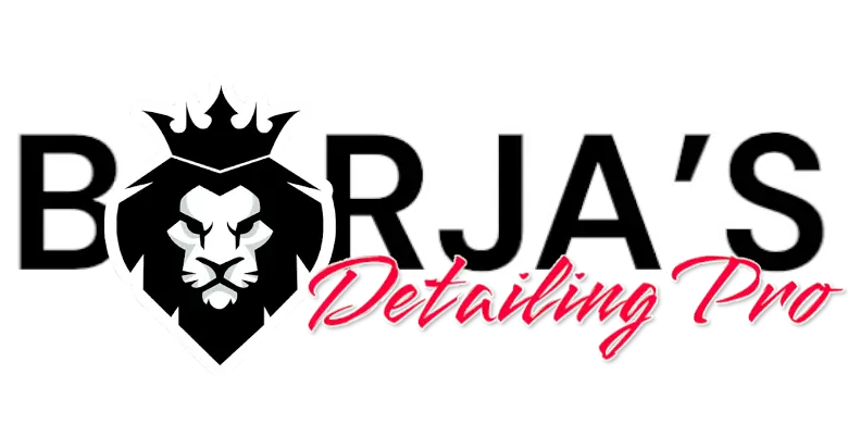 Borja’s Detailing pro in Spring Valley, NY (5)