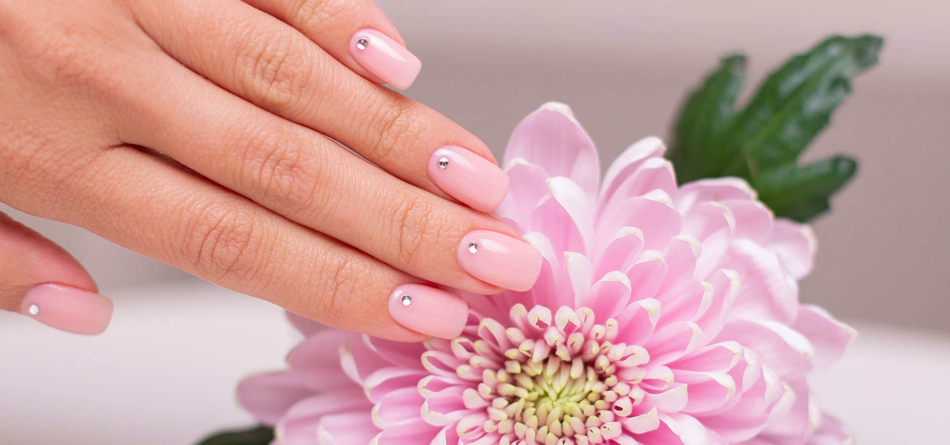 Jazzy Nails - West Columbia in West Columbia, SC (2)