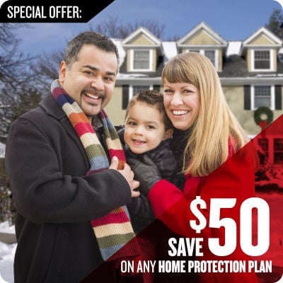 Viking Pest Control in Oakland, NJ (3)