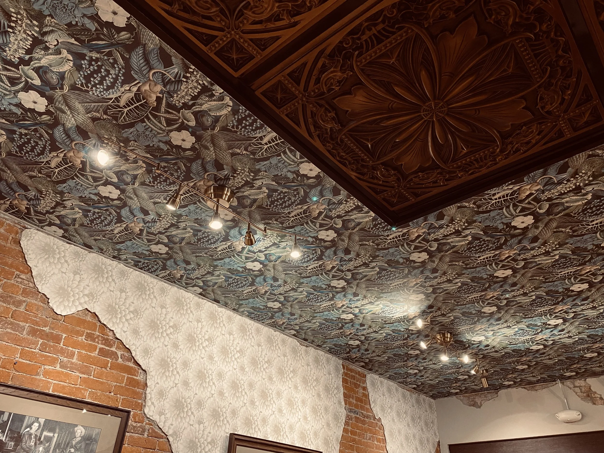 The Dark Horse Social Club in Defiance, OH (6)