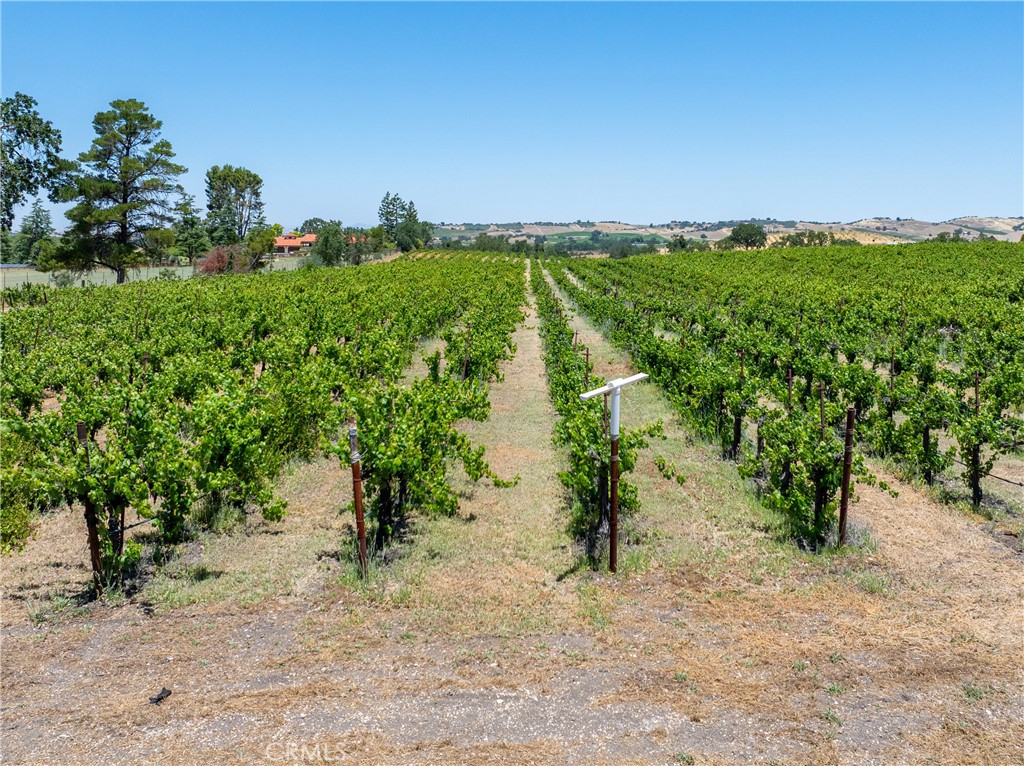 Home and Ranch Sotheby's International Realty in Templeton, CA
