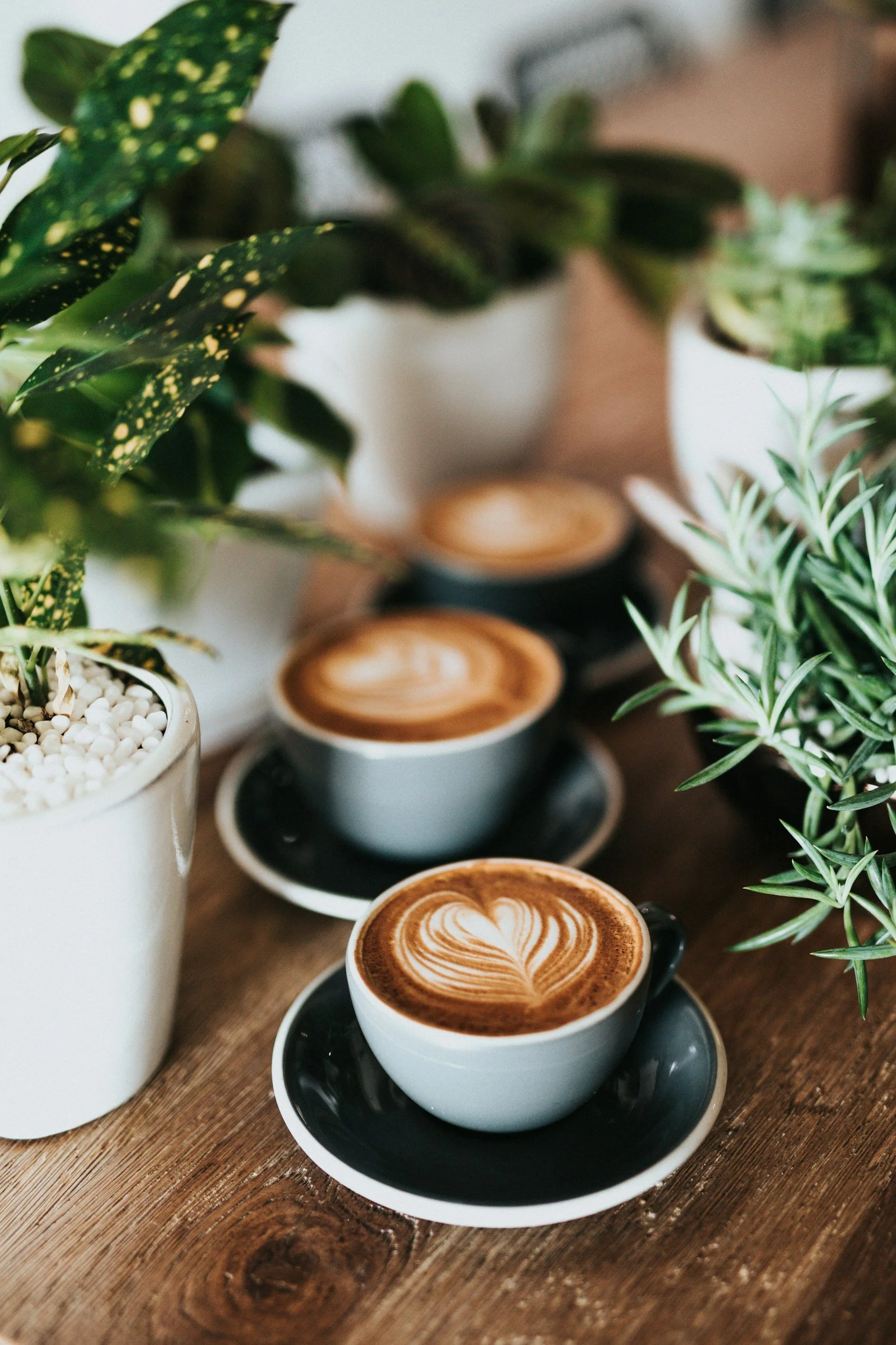 Joytown Coffee in Mineral Wells, TX