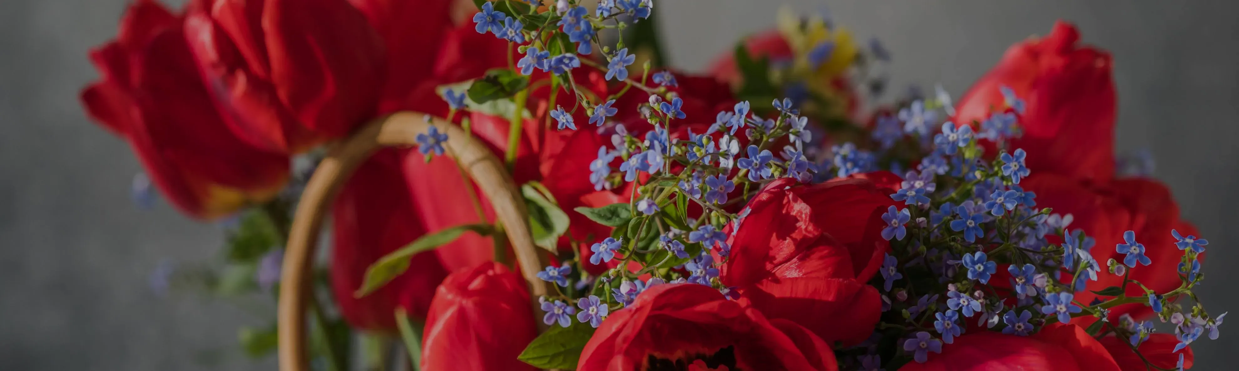 Dream World Florist and Décor in Miramar, FL (2)