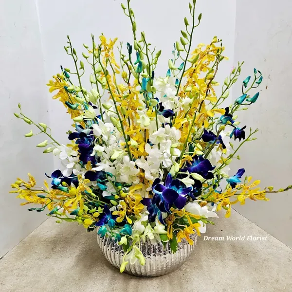 Dream World Florist and Décor in Miramar, FL (4)