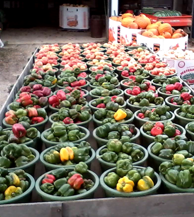 Meck's Produce in Strasburg, PA