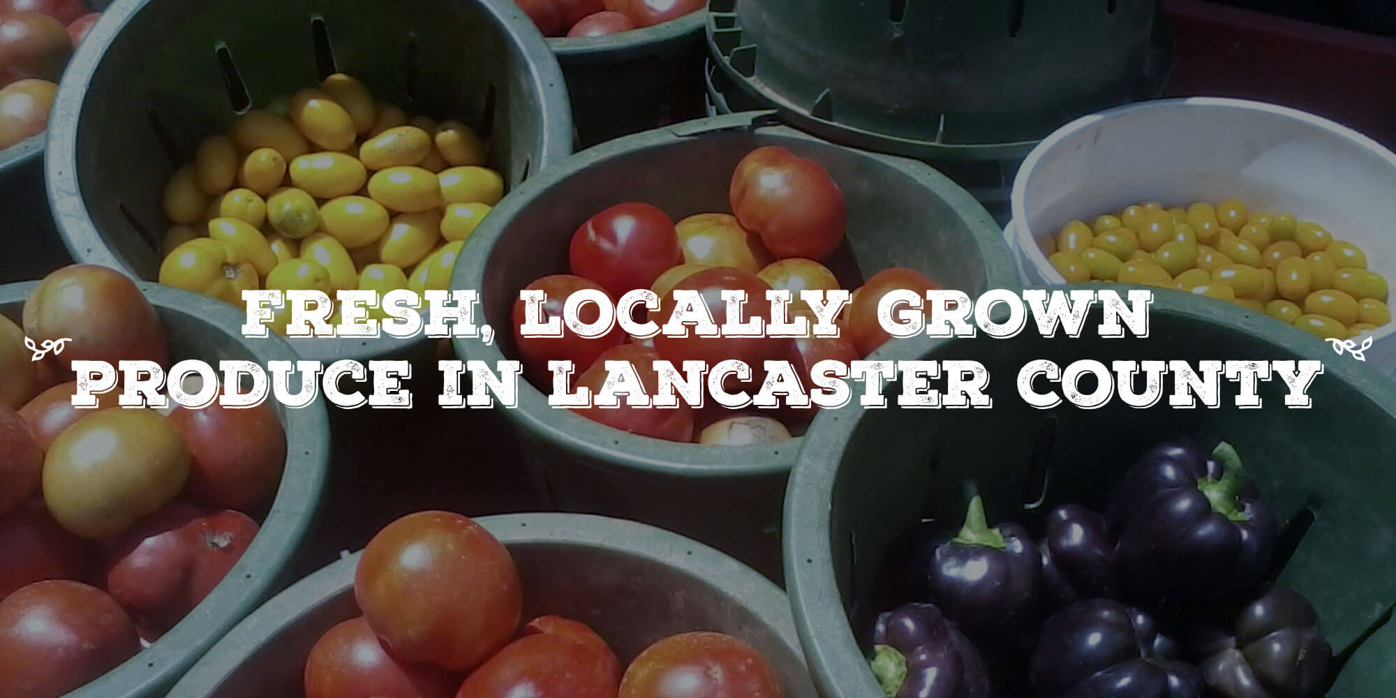 Meck's Produce in Strasburg, PA (4)