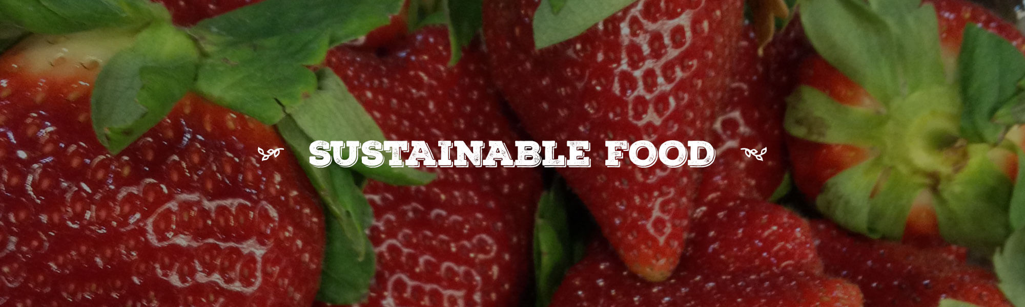 Meck's Produce in Strasburg, PA (6)