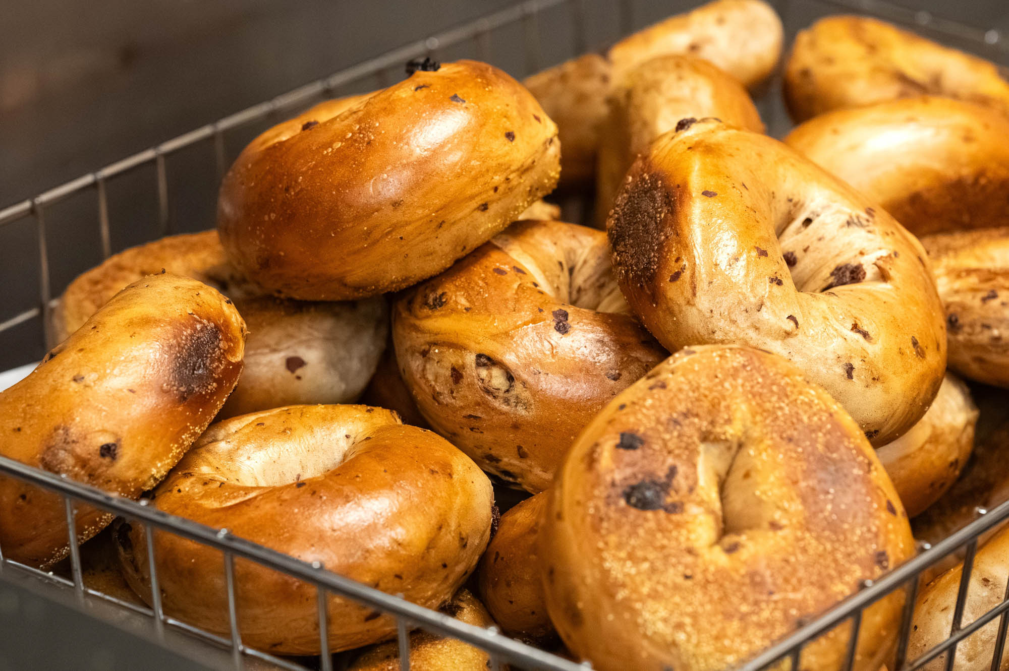 New York Bagel & Deli in Benson, NC