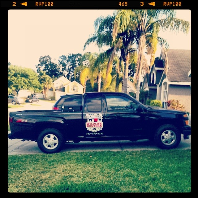 Florida Wildlife Busters, LLC in Lake Mary, FL