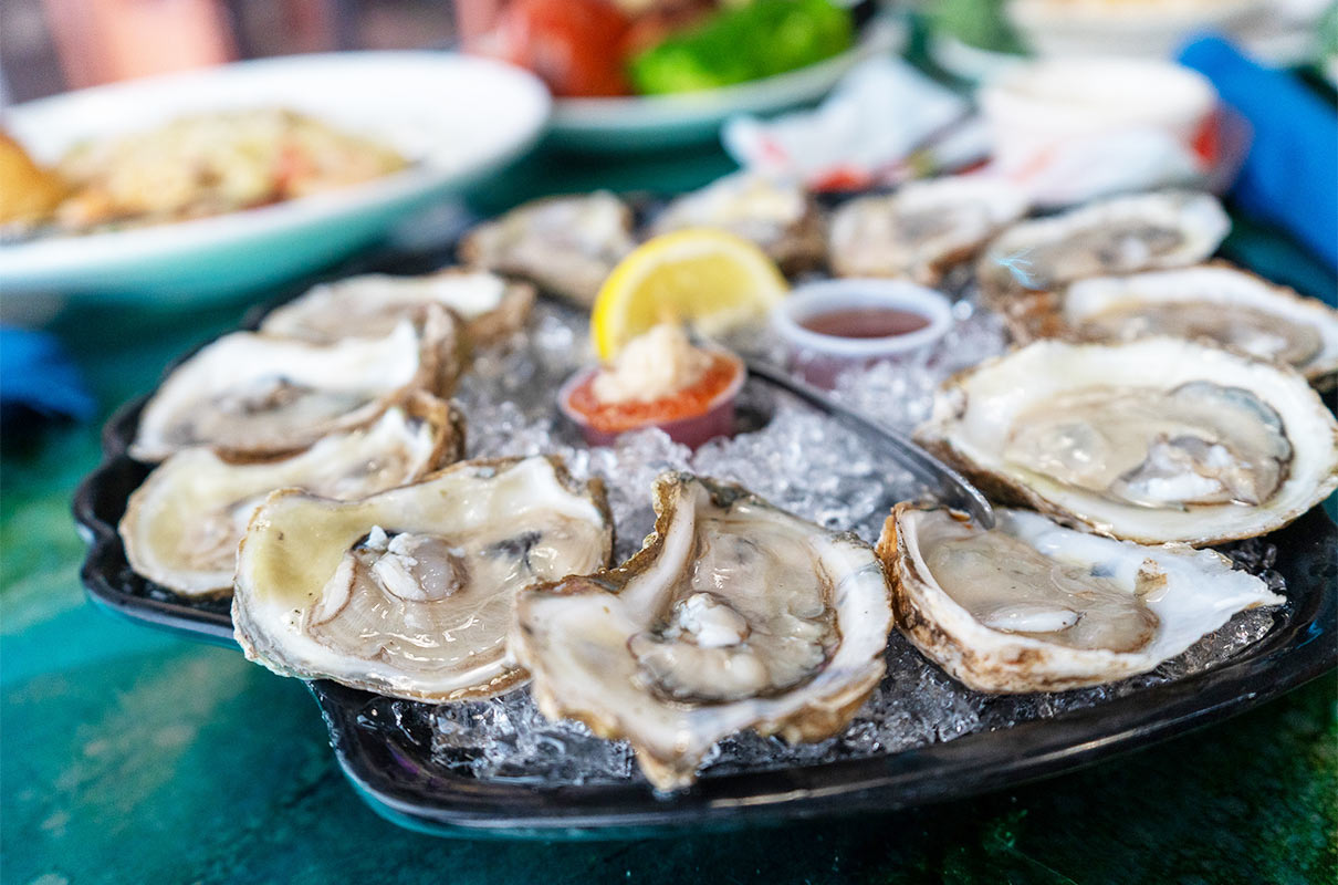 The Magic Oyster Bar in Jensen Beach, FL
