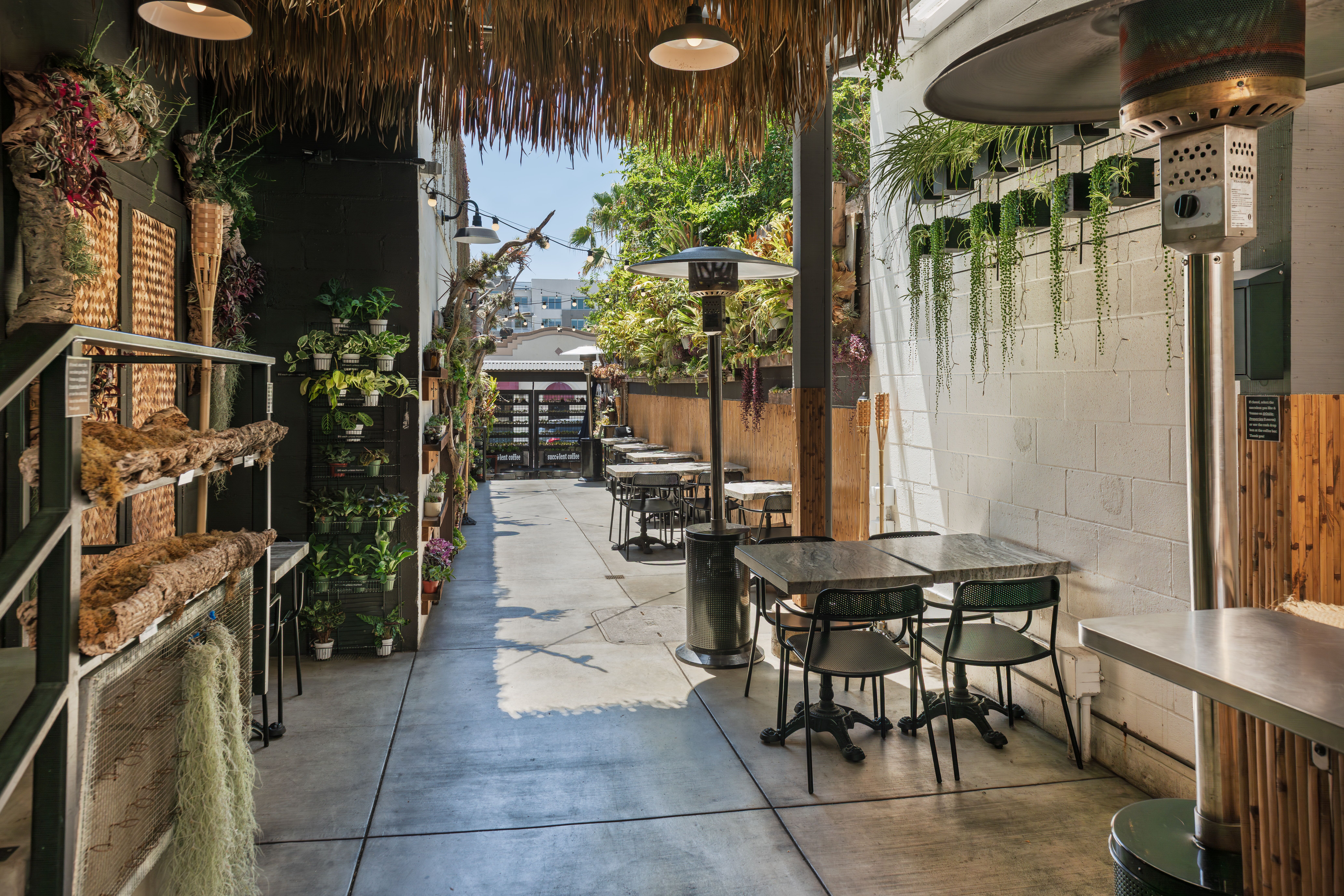 Succulent Coffee in Oceanside, CA (2)