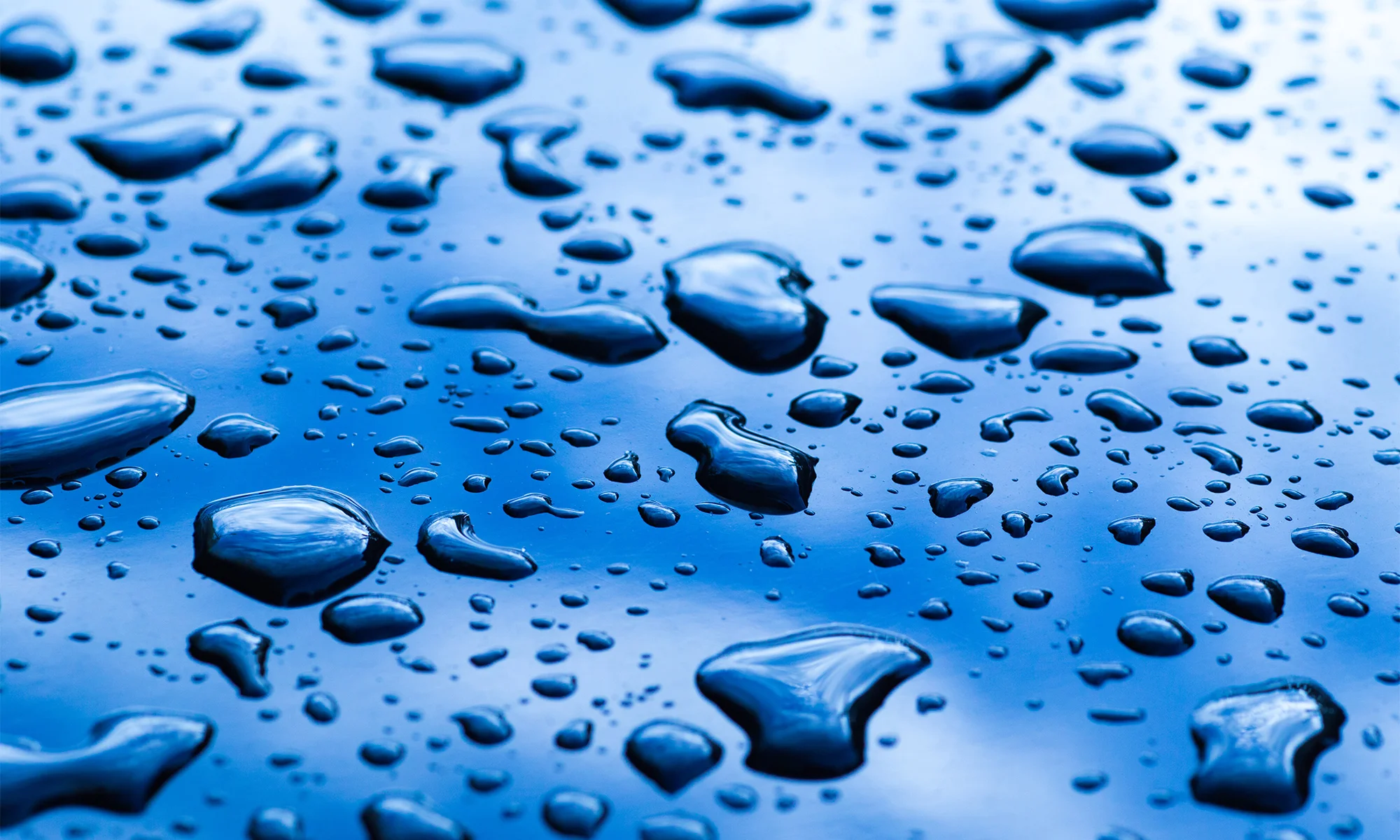 Annie's Mobile Detailing in Redding, CA