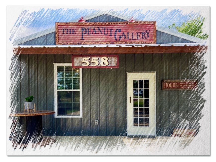 Spring Hill Food Trucks at The Peanut Gallery in Aubrey, TX (4)
