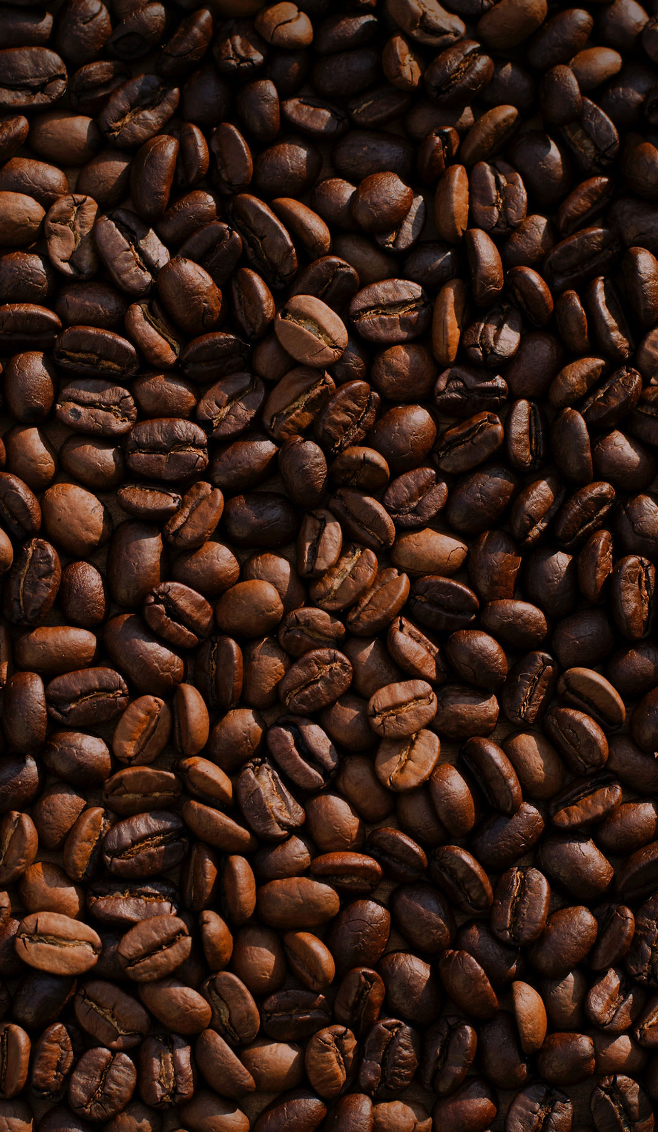 Sands Coffee Roaster in Oceanside, CA