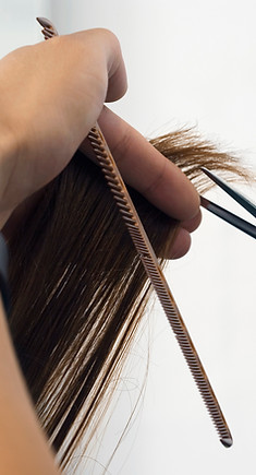The Look Salon in Placerville, CA (4)