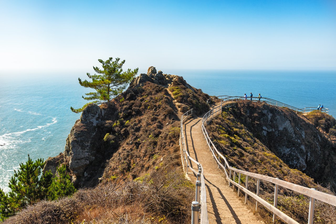 Outpost Real Estate | Radhi Ahern + Scott Kalmbach | Top Realtors Marin & SF in Larkspur, CA (3)