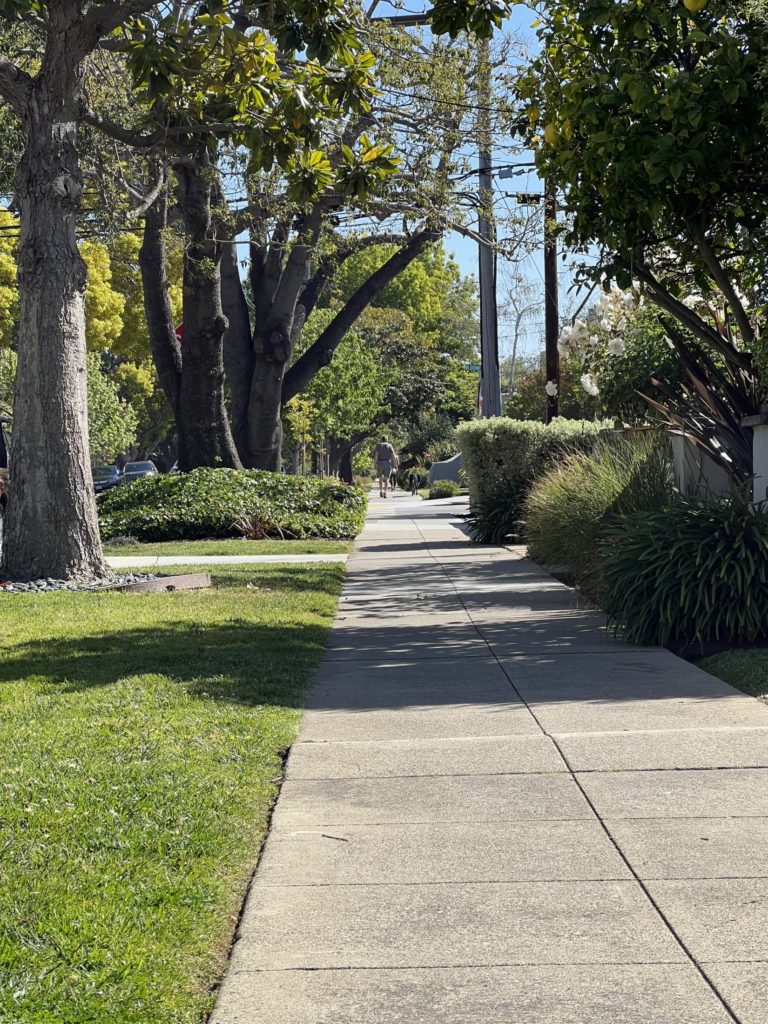 Team Tapper | San Mateo County | Coldwell Banker Realty in Burlingame, CA (2)