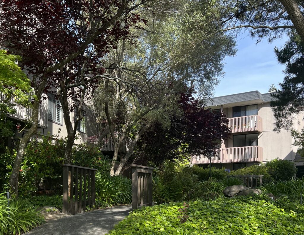 Team Tapper | San Mateo County | Coldwell Banker Realty in Burlingame, CA (3)