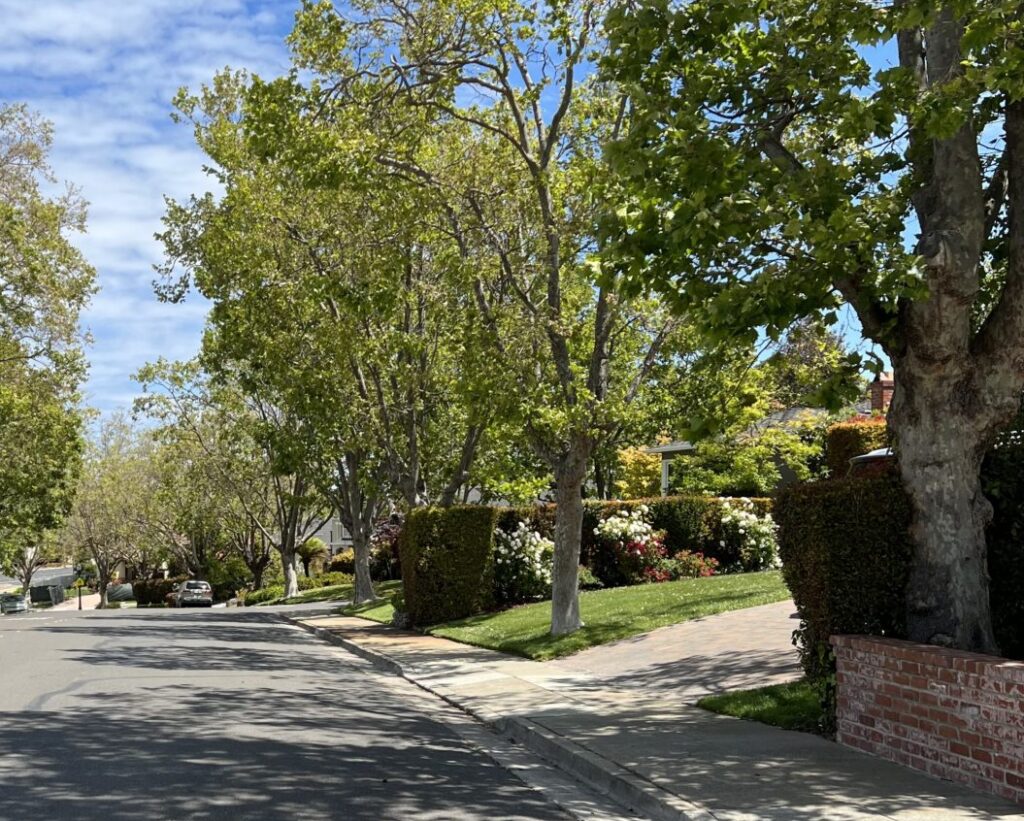 Team Tapper | San Mateo County | Coldwell Banker Realty in Burlingame, CA (4)