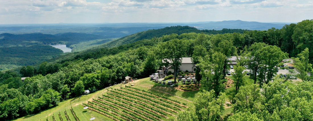 Fainting Goat Vineyards in Jasper, GA (3)
