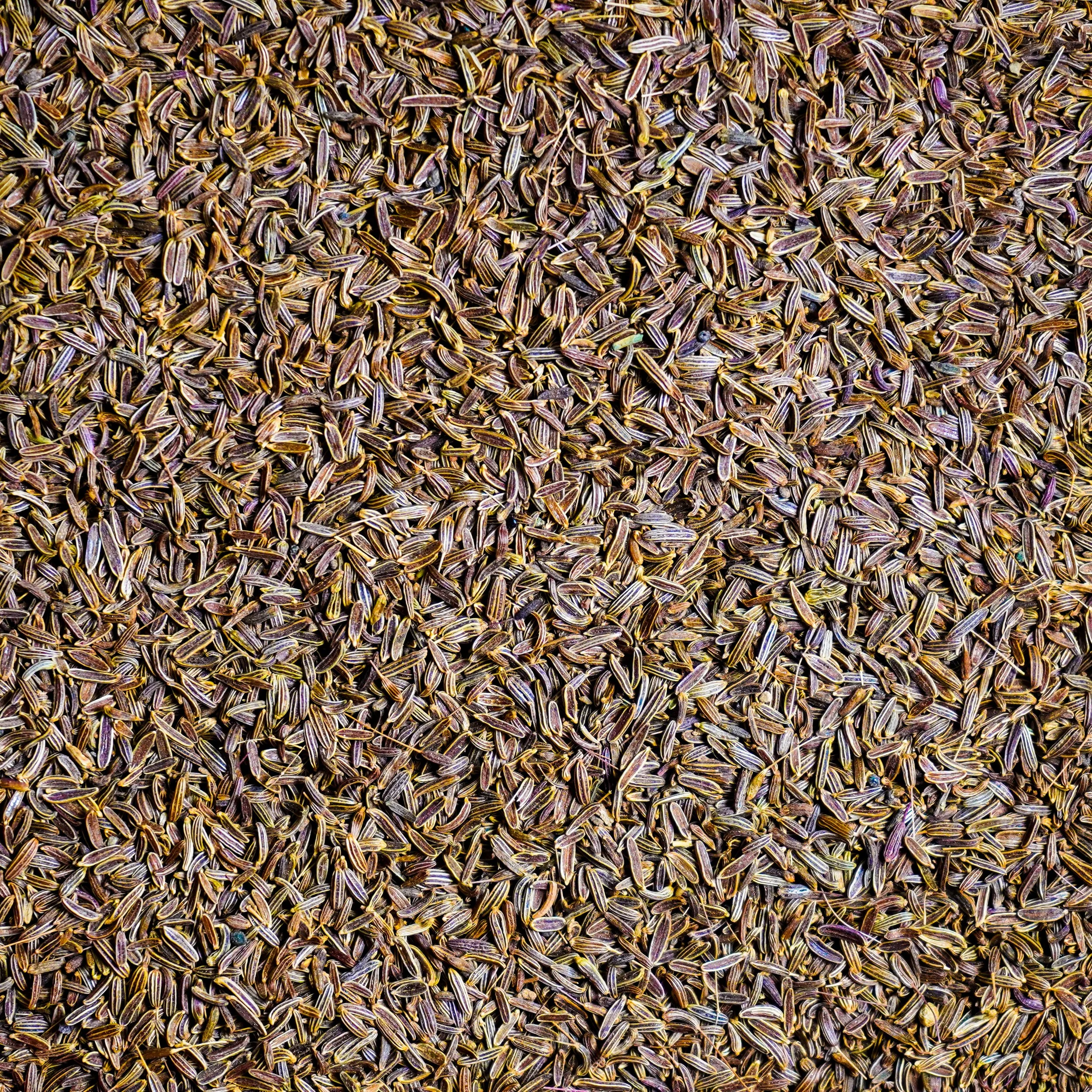 Noble House Spice in Rohnert Park, CA (2)