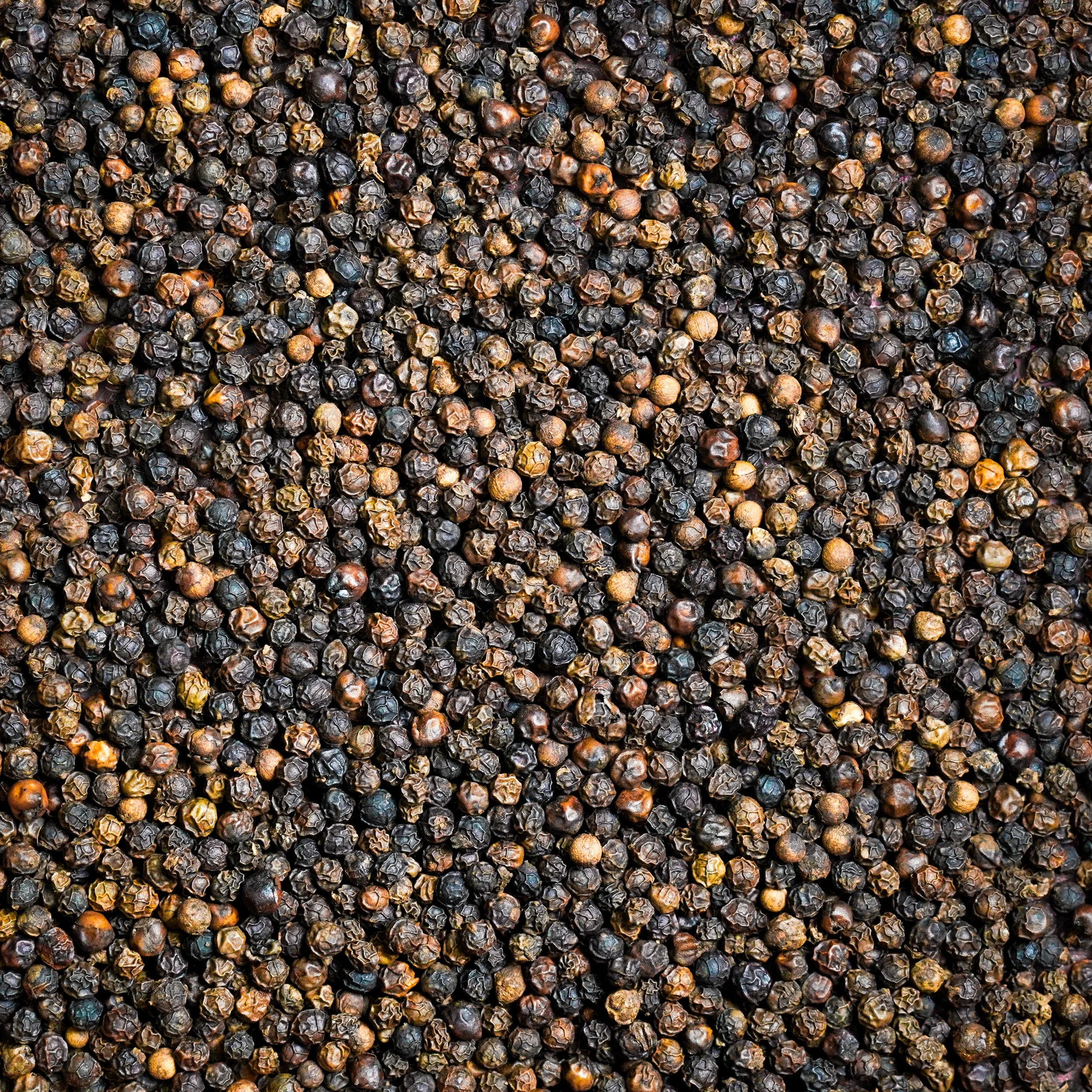 Noble House Spice in Rohnert Park, CA (3)