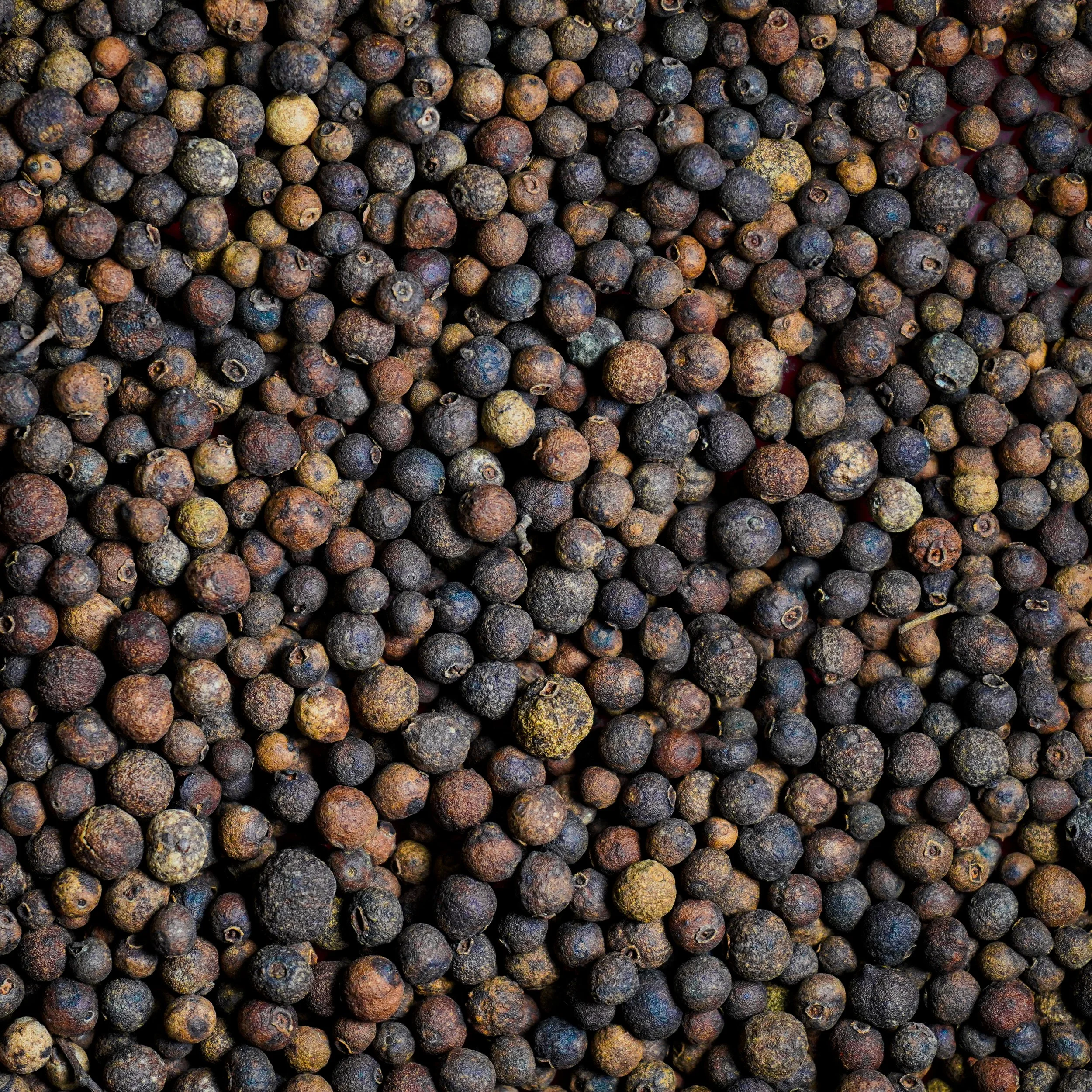 Noble House Spice in Rohnert Park, CA (4)