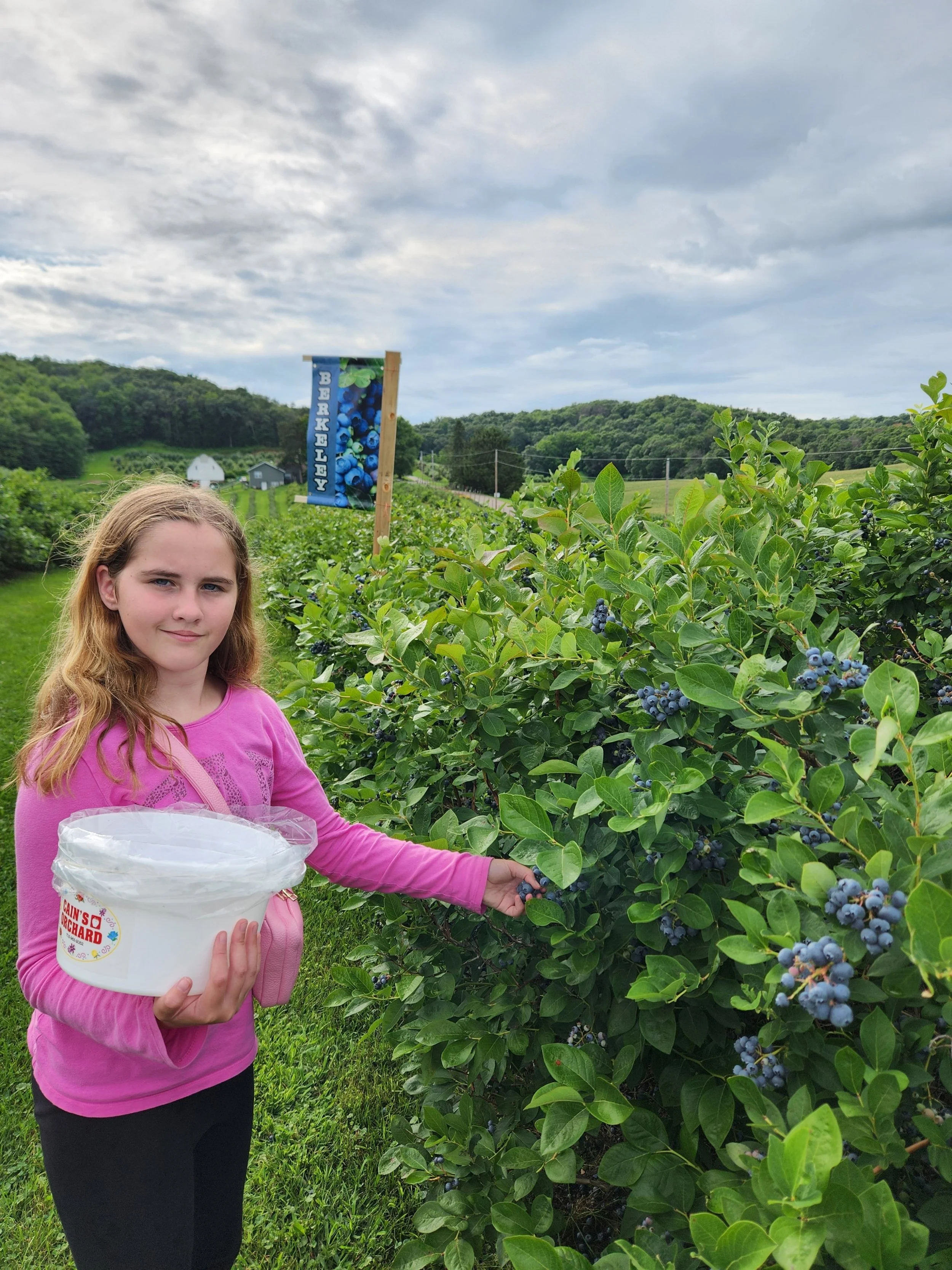 Cain's Orchard in Hixton, WI (3)