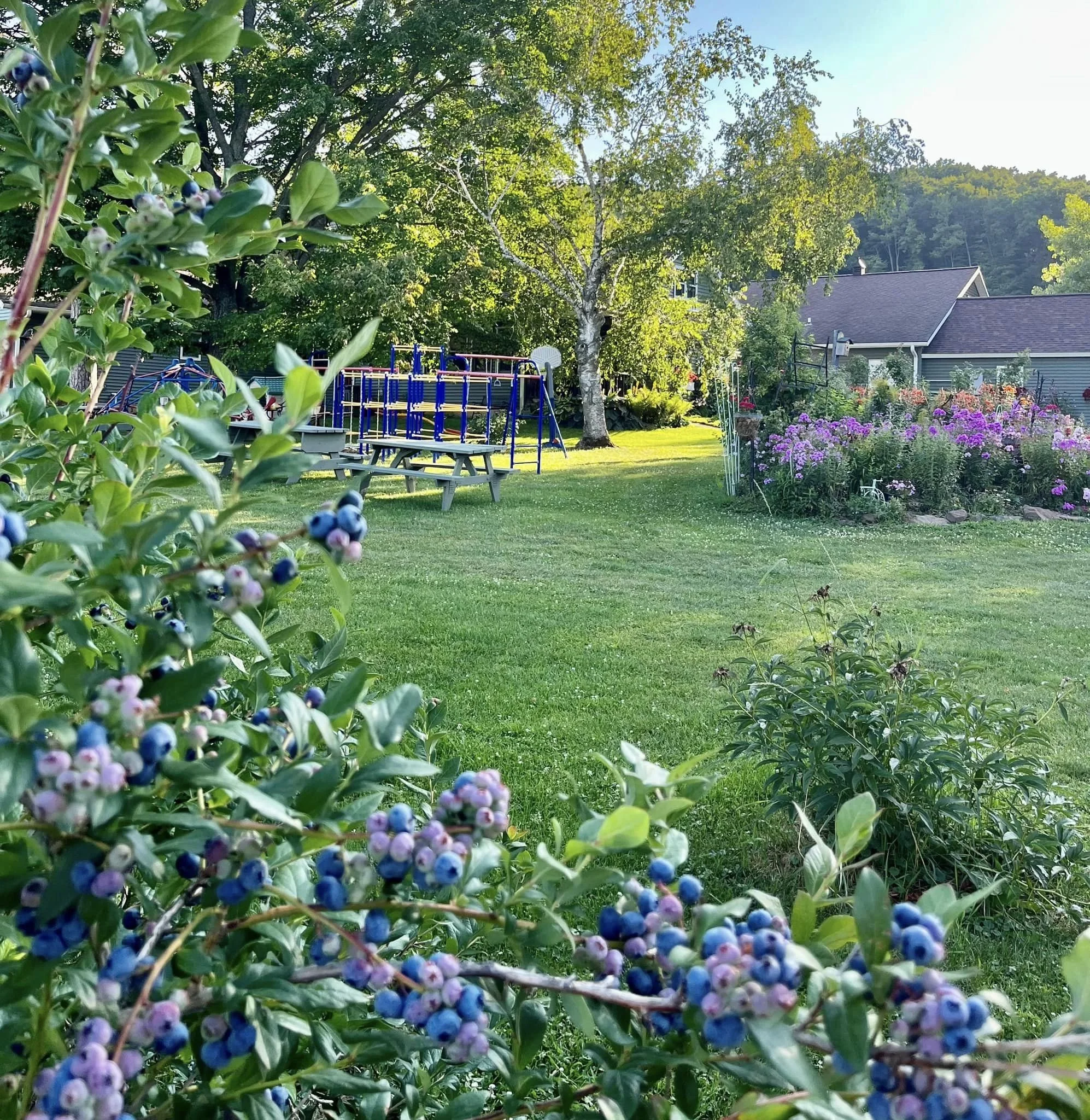 Cain's Orchard in Hixton, WI (5)