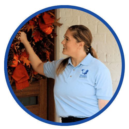 Dallas Housemaids in Coppell, TX (5)