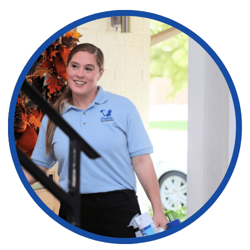 Dallas Housemaids in Coppell, TX (6)