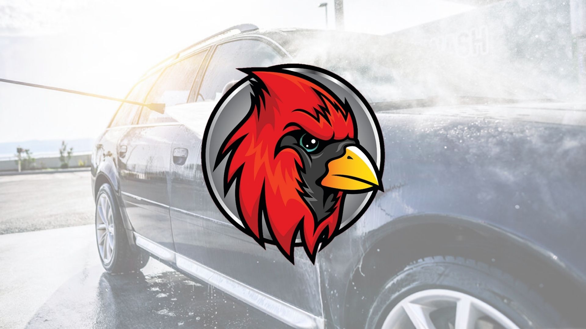 Cardinal Auto Wash and Drive Thru Beverage in Mentor, OH
